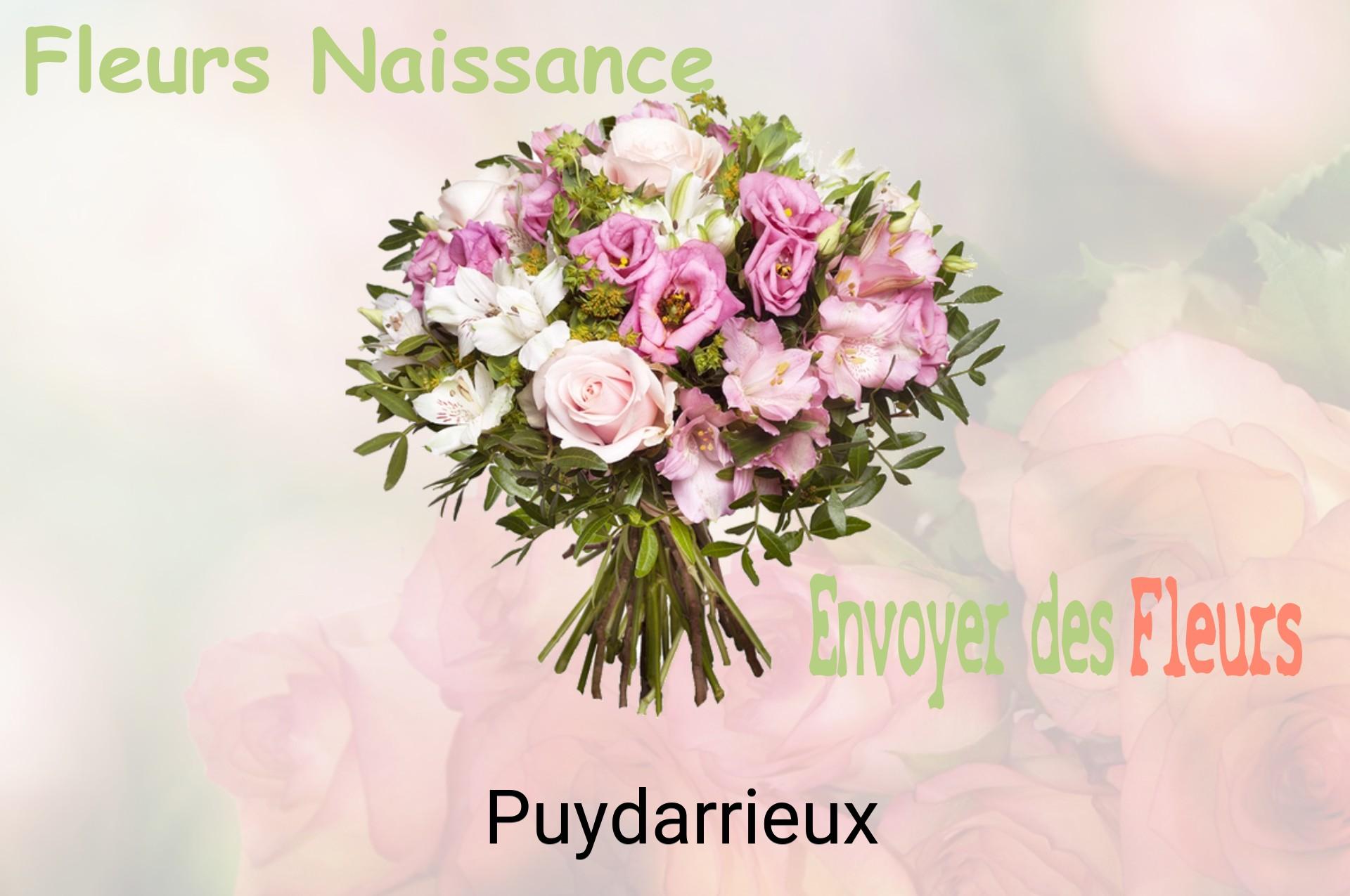 Bouquet de fleurs de naissance livré à Puydarrieux
